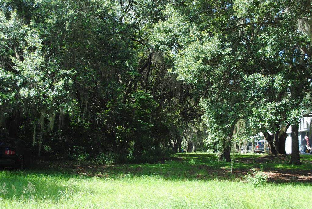 Florida Boys Ranch Road - Photo 1