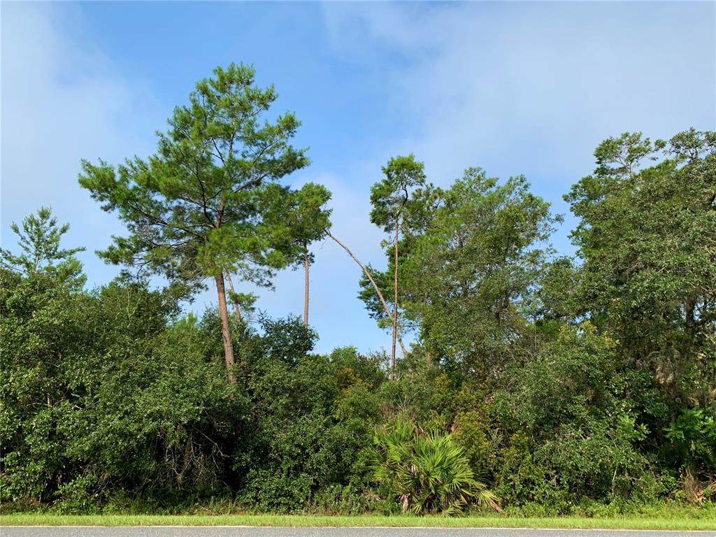LOT 15 Royal Trails Road - Photo 1