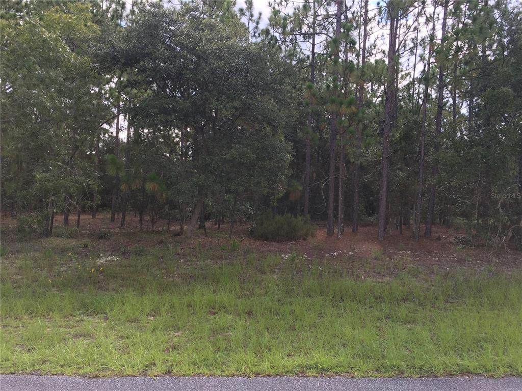 11280 Kenney Loop - Photo 1