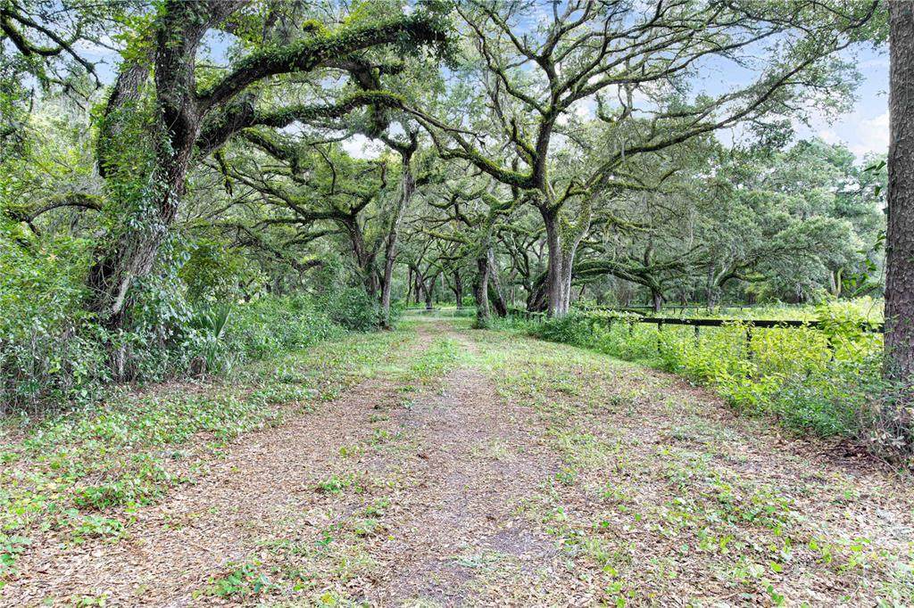 Se 170Th Street - Photo 1