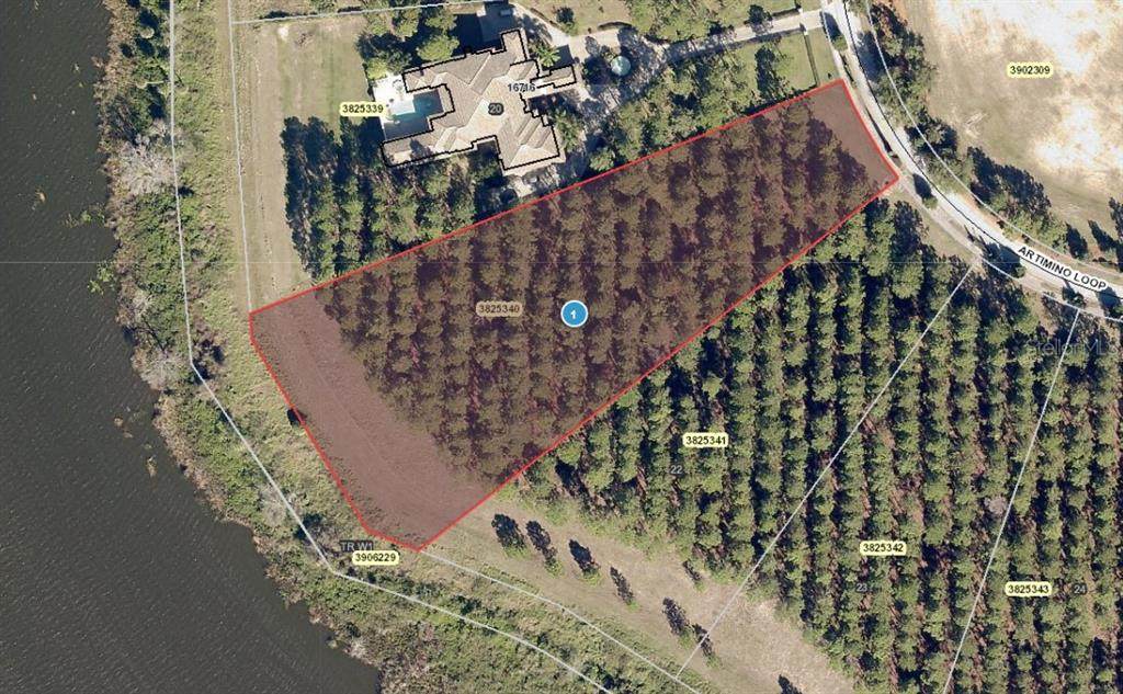 16720 Artimino Loop - Photo 1
