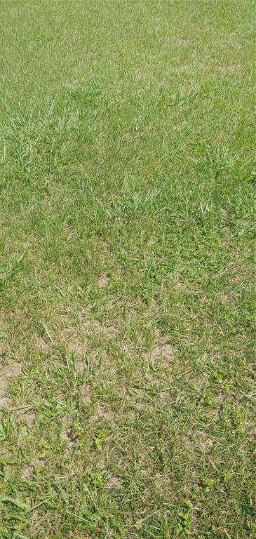 TBD 161ST Street - Photo 1