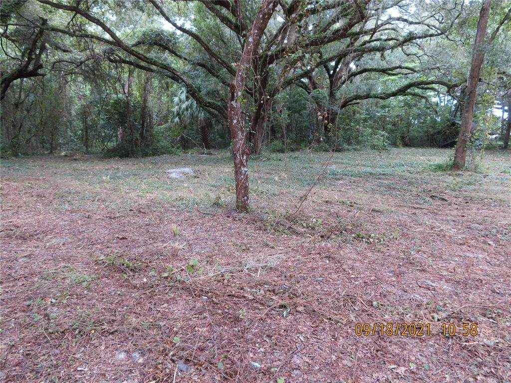 Velma Avenue - Photo 1