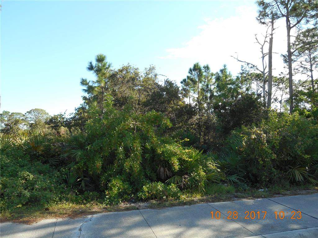 0 Nova Road - Photo 1