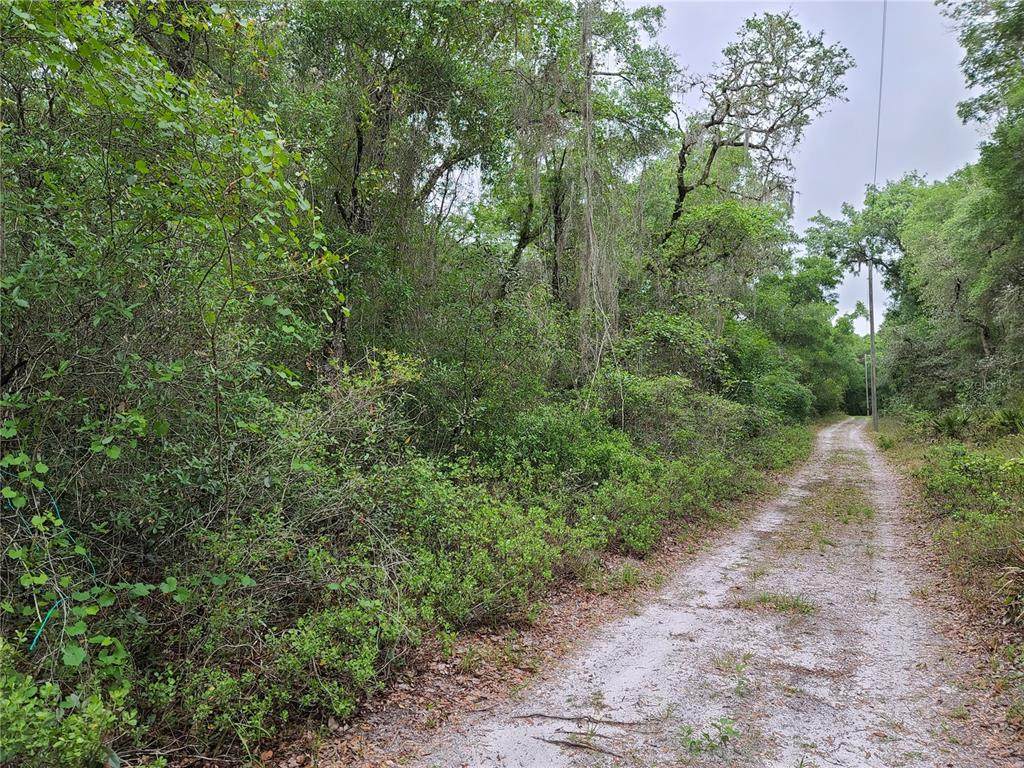 2464 Colton Terrace - Photo 1