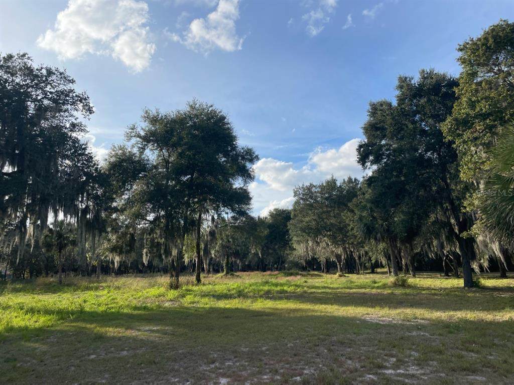 Lot 7 Treasure Island Road - Photo 1