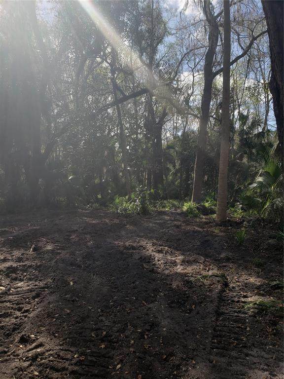 County Road 405 - Photo 1