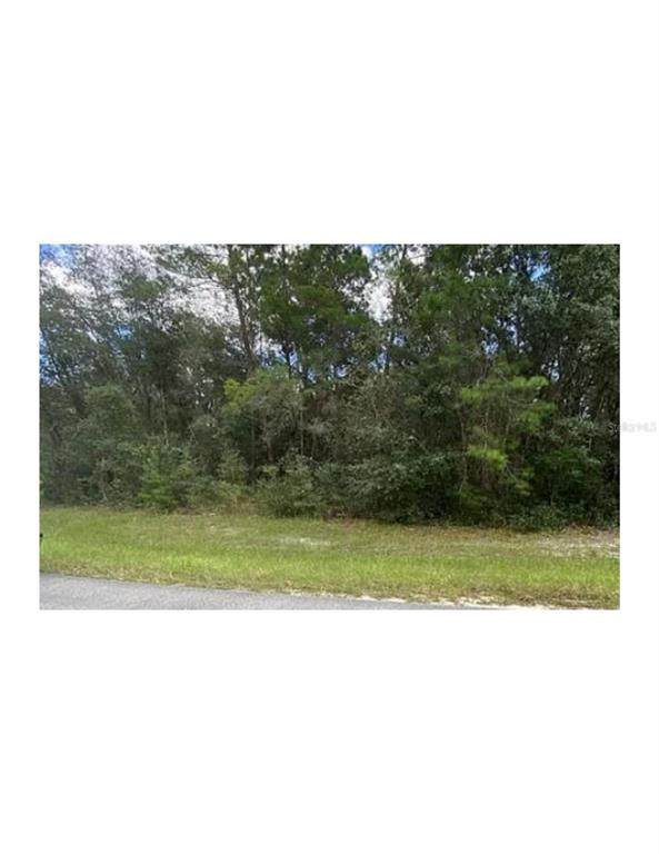 0 Sw 149Th Ln Road - Photo 1