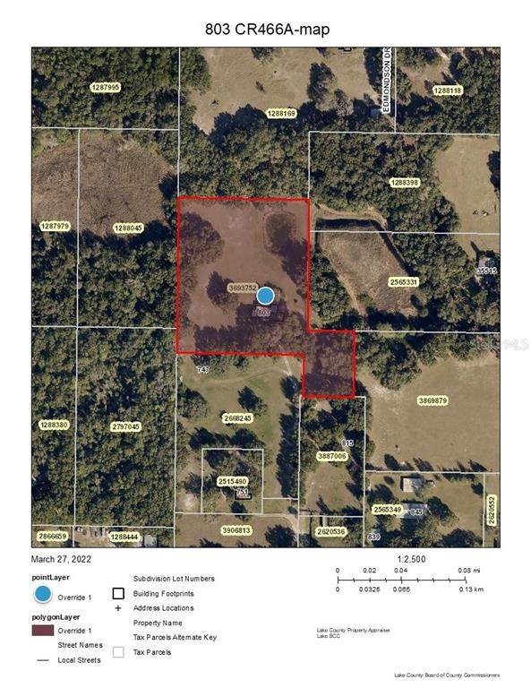 803 County Road 466A - Photo 1