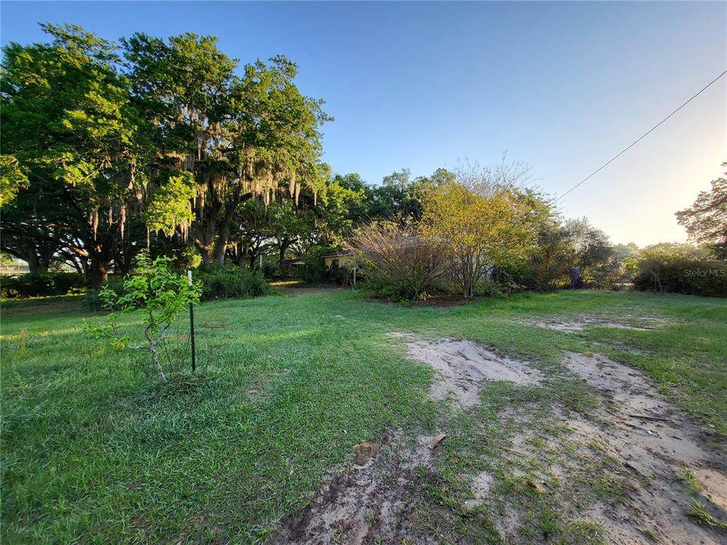41752 Thomas Boat Landing Road - Photo 1