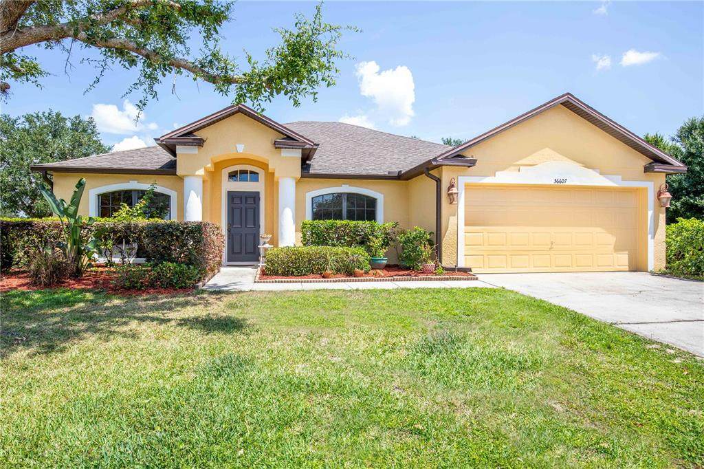 36607 Menominee Lane - Photo 1
