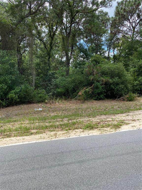 38TH Avenue - Photo 1
