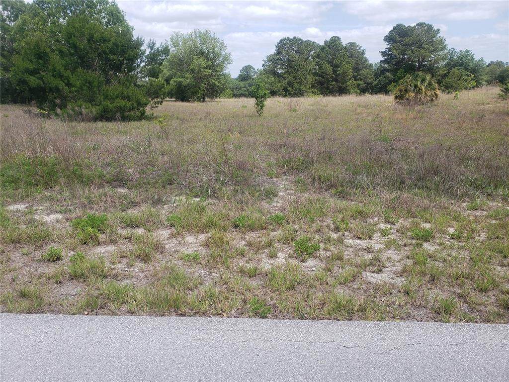 Lot 19 Zinia Court - Photo 1
