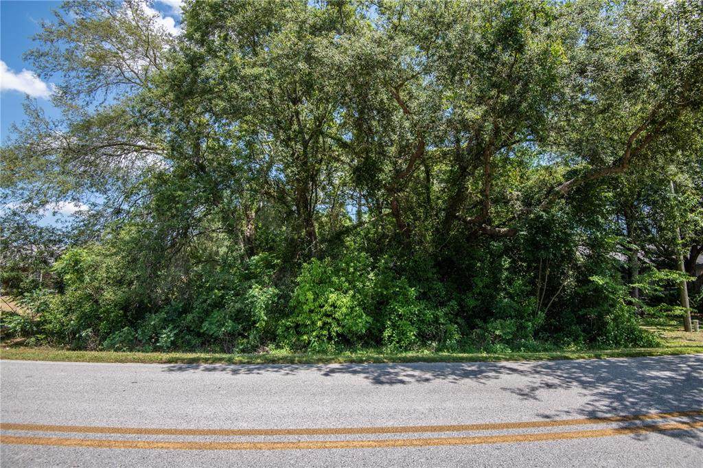 Se 156Th Street - Photo 1