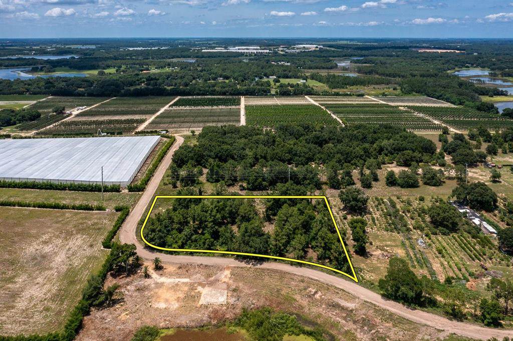 Cherry Lake Groves Road - Photo 1