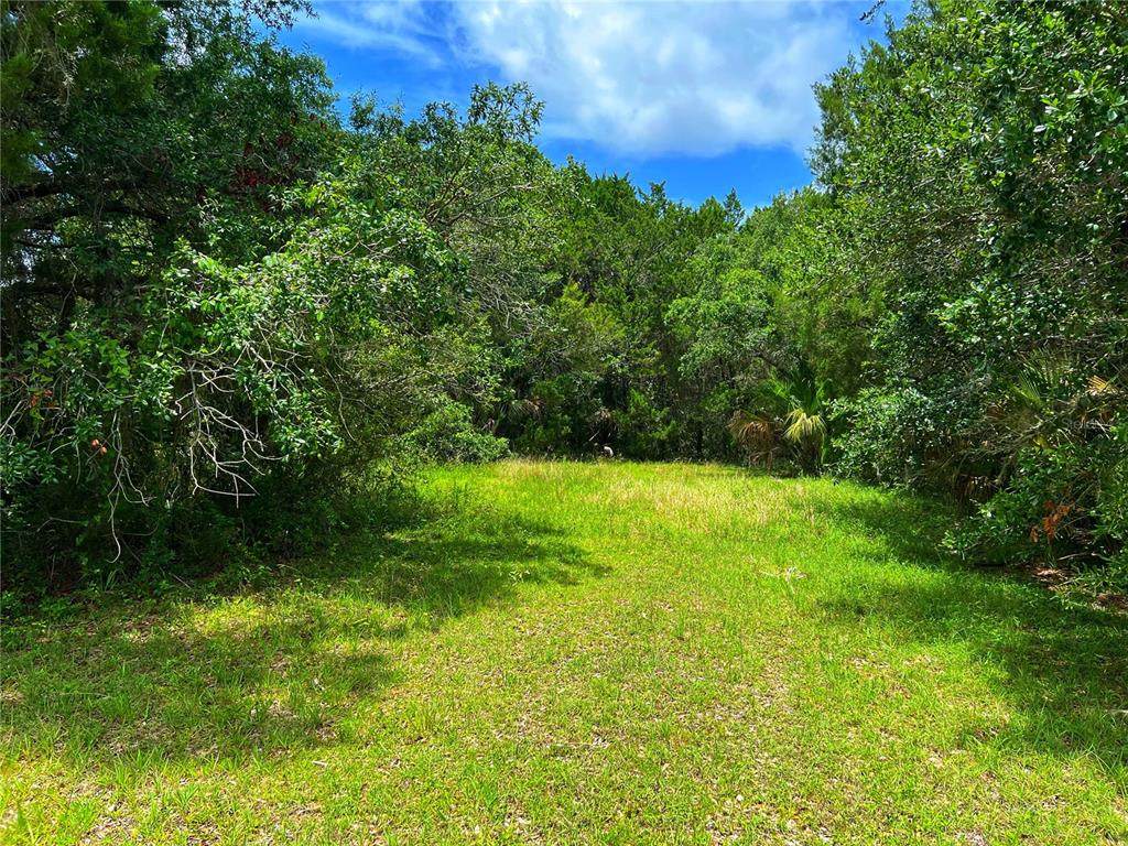 11895 Timberlane Drive - Photo 1