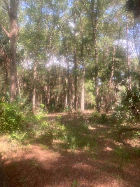 Will Murphy Road - Photo 1