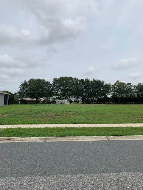 5536 Great Egret Drive - Photo 1