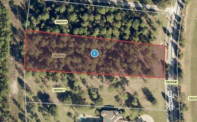 15906 Pendio Drive - Photo 1