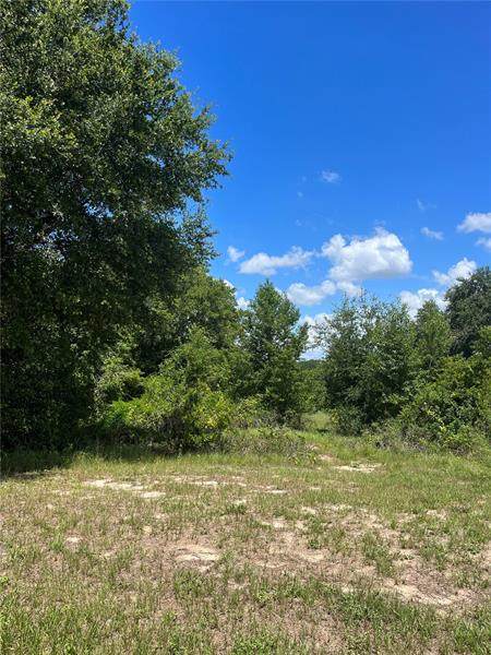 18313 Great Blue Heron Drive - Photo 1