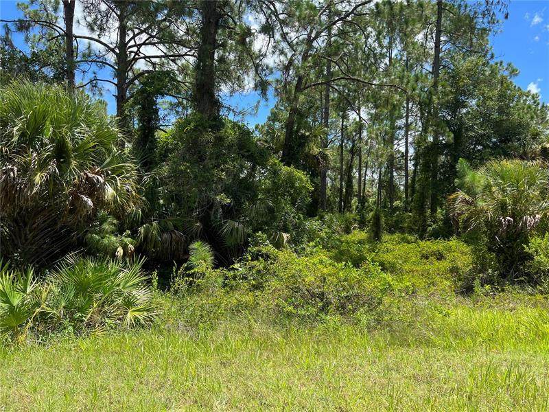 1846 Honduras Loop - Photo 1