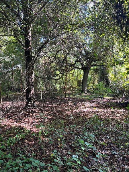 Bay Lake Road - Photo 1