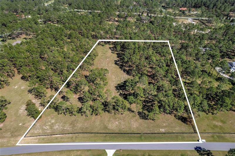 35340 Pinegate Trail - Photo 1