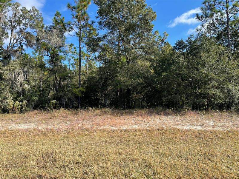 Lot 44 102ND STREET Road - Photo 1