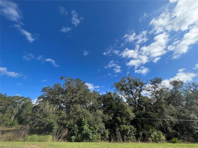 6677 Old Highway 441 - Photo 1