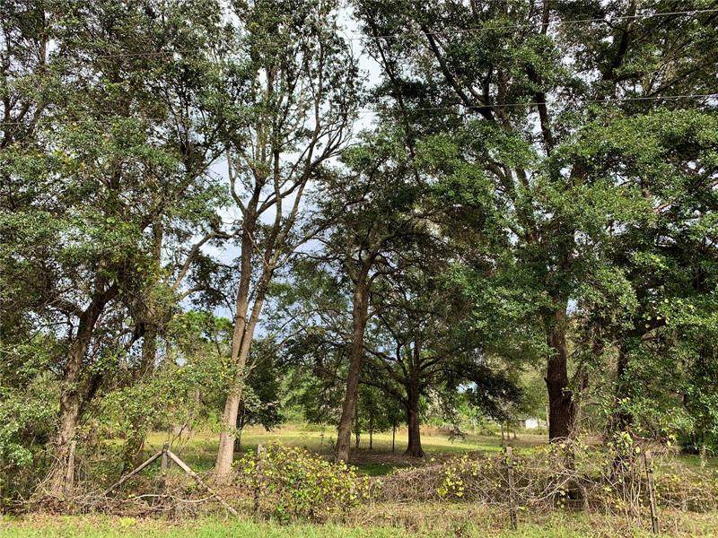 LOT 4 Tamarac Street - Photo 1