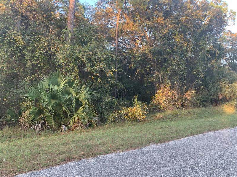 Saffron Avenue - Photo 1