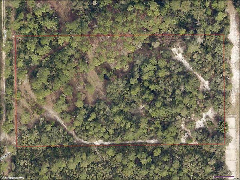 0 Ilex Trail - Photo 1