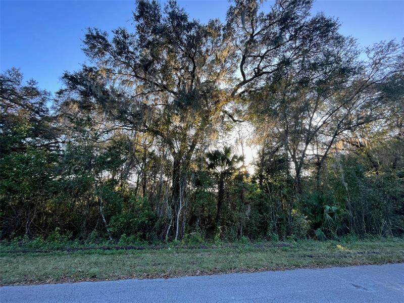 6600 Noel Place - Photo 1