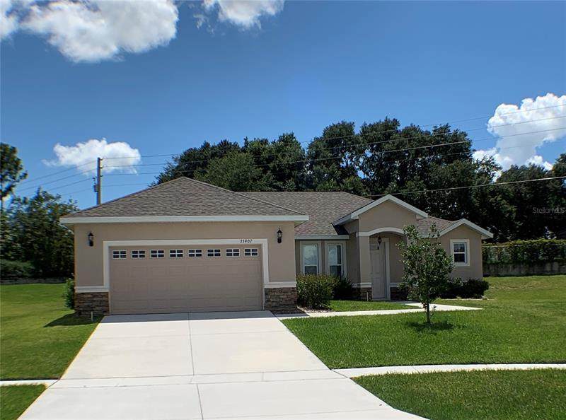 33907 Emerald Pond Loop - Photo 1