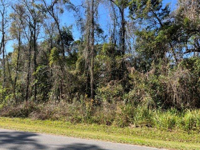 00 Cr 680 Webster, Fl. 33597 - Photo 1