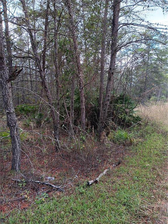 5144 Osmond Lane - Photo 1