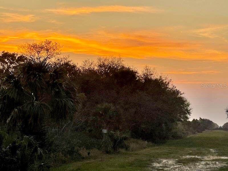 17070 276TH Street - Photo 1