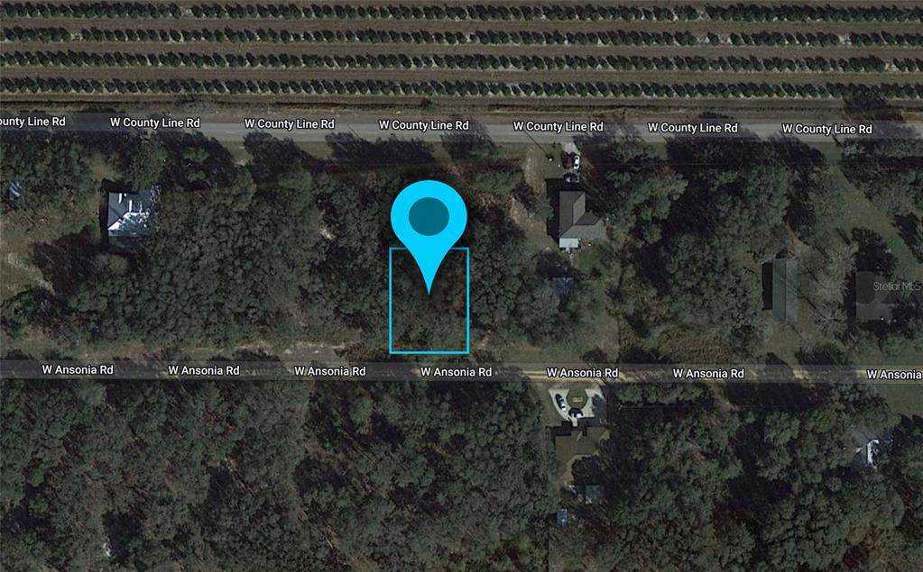 3180 Ansonia Road - Photo 1
