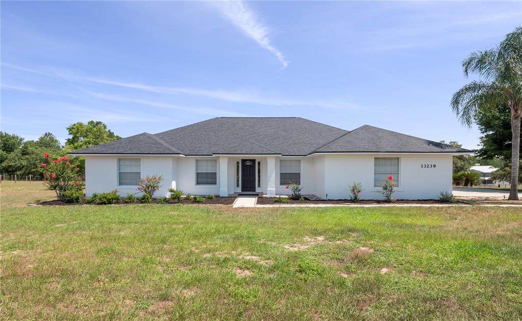 13239 White Cypress Road - Photo 1