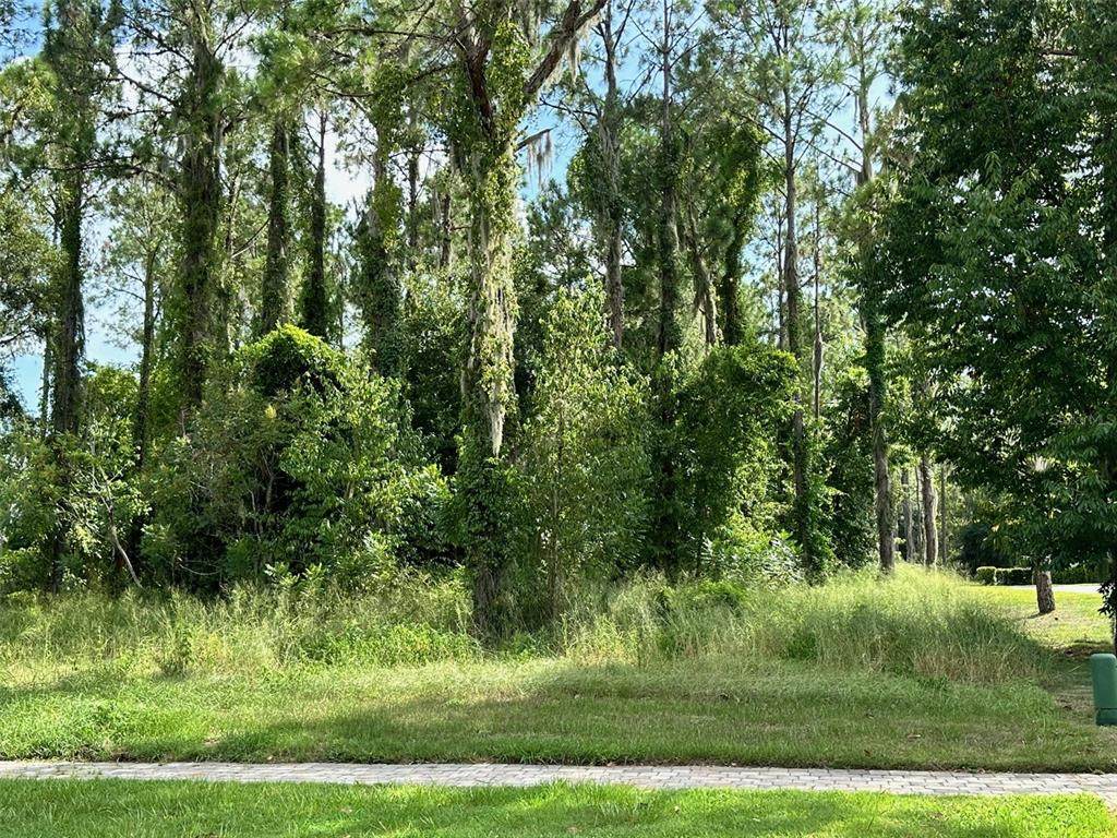 15614 Pendio Drive - Photo 1