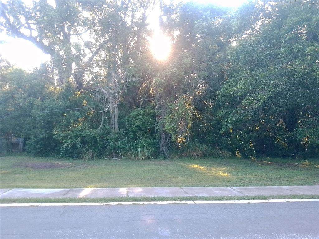 Gorham Street - Photo 1