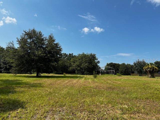 3545 Paulette Street - Photo 1