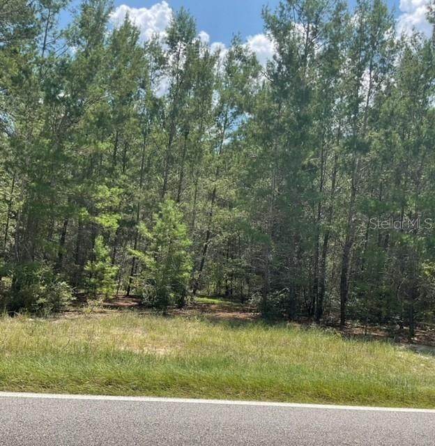 1140 Coral Farms Road - Photo 1