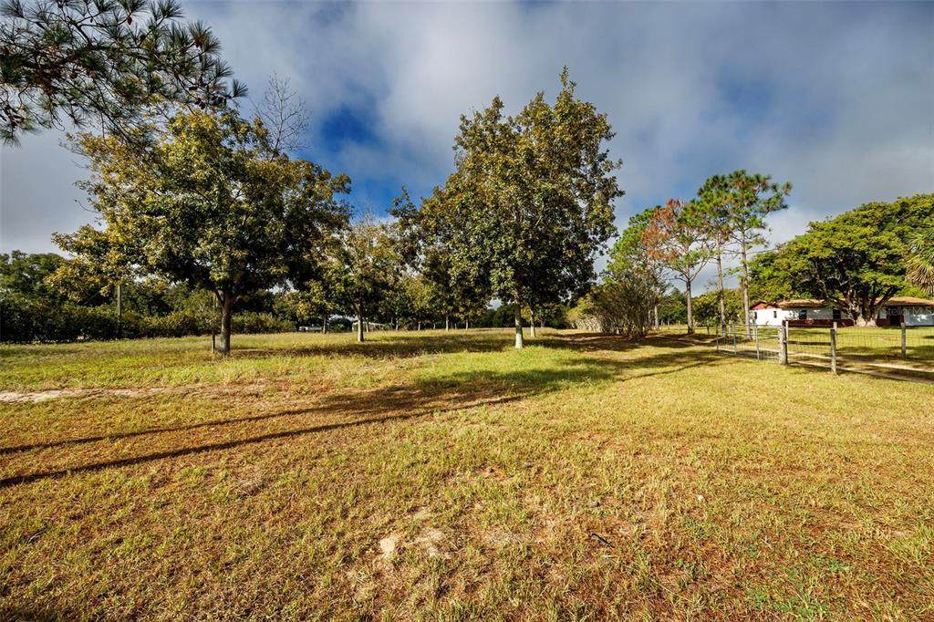 40635 Thomas Boat Landing Road - Photo 1