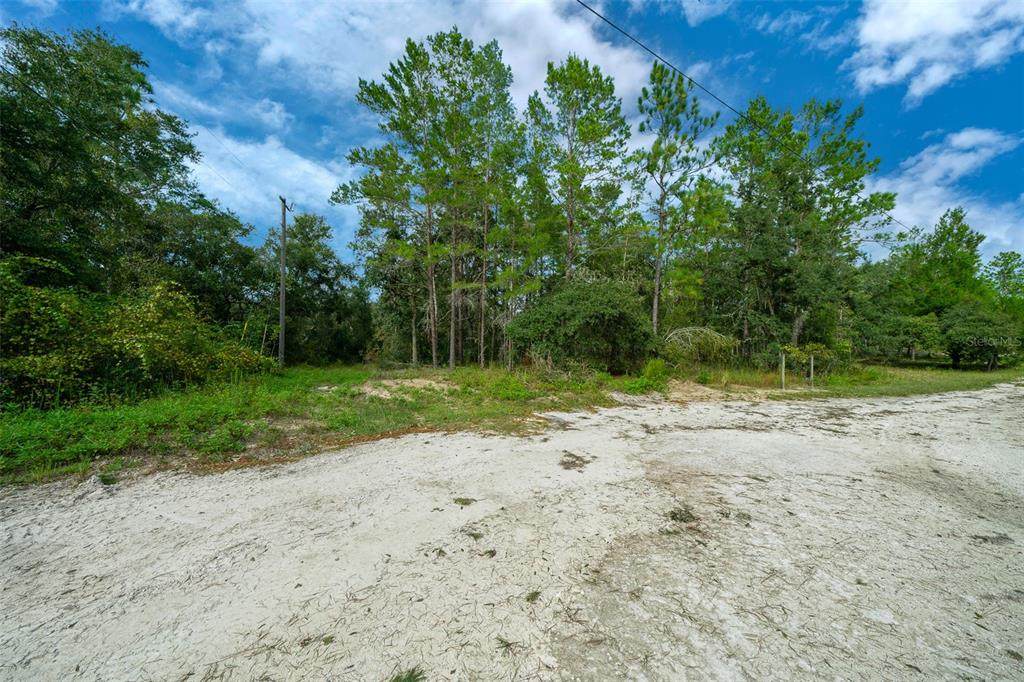 34167 Belt Drive - Photo 1