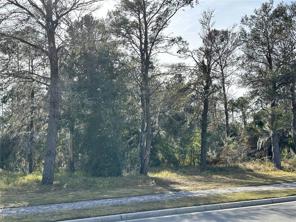 16015 Pendio Drive - Photo 1