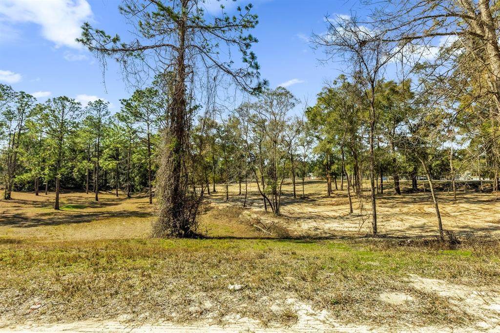 Lot 4 Highway 40 - Photo 1
