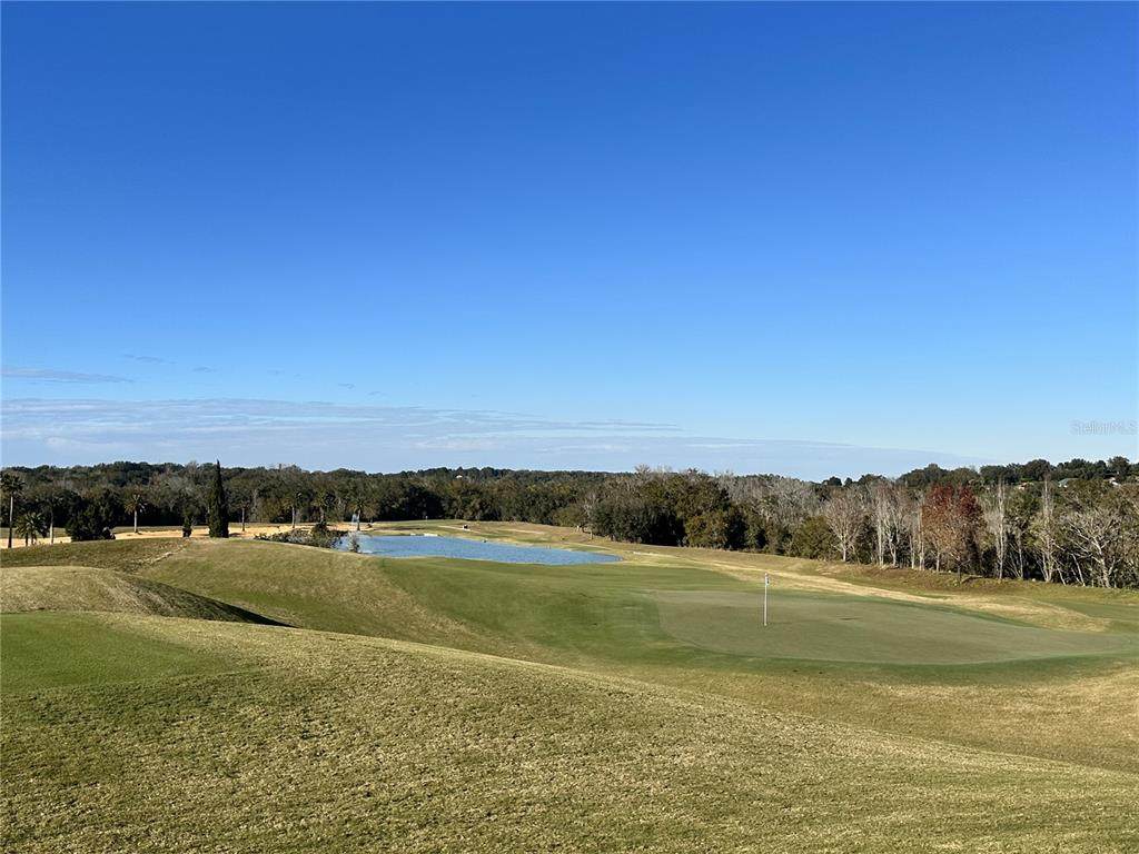 16051 Vetta Drive - Photo 1