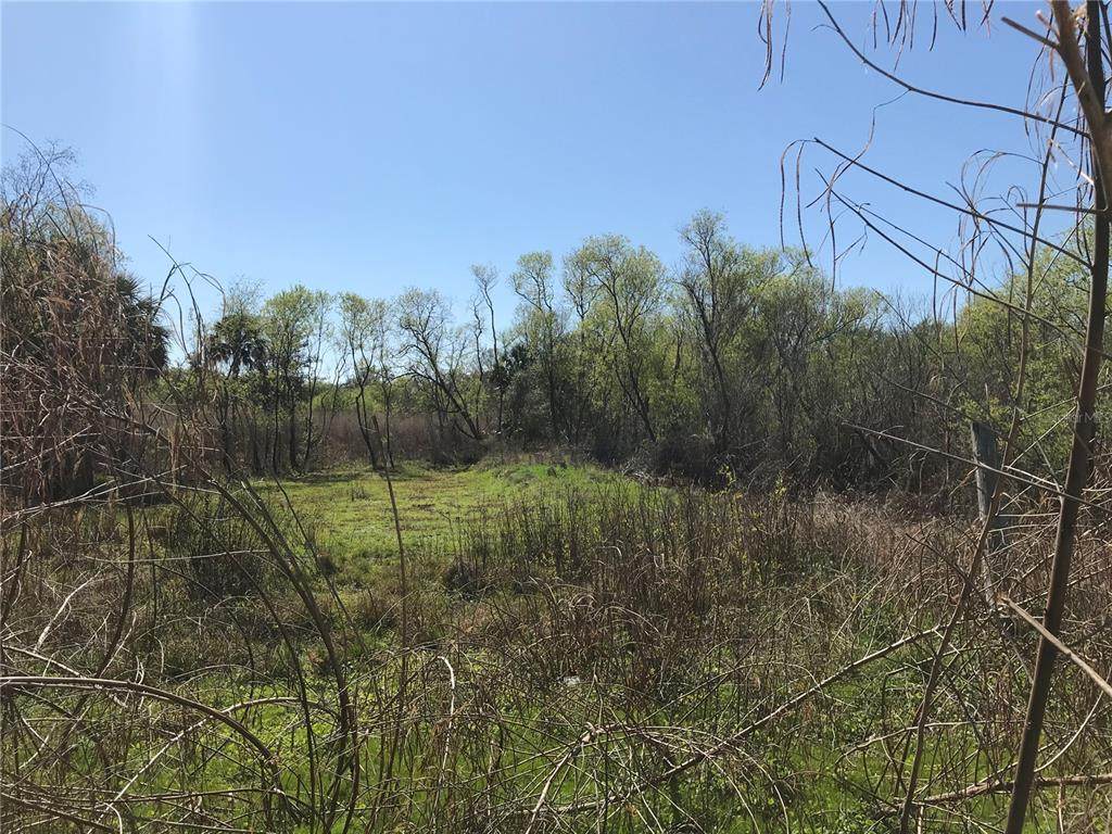 8908 Candleglow Street - Photo 1