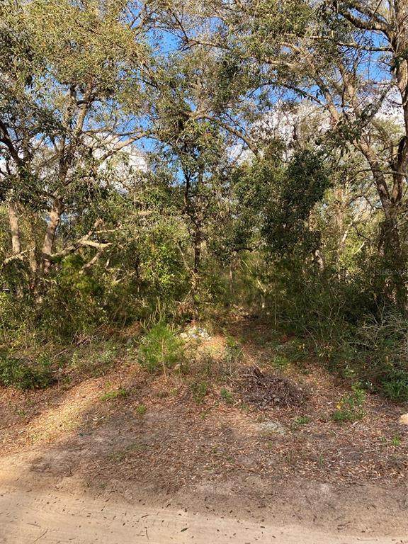 Dogwood Way - Photo 1